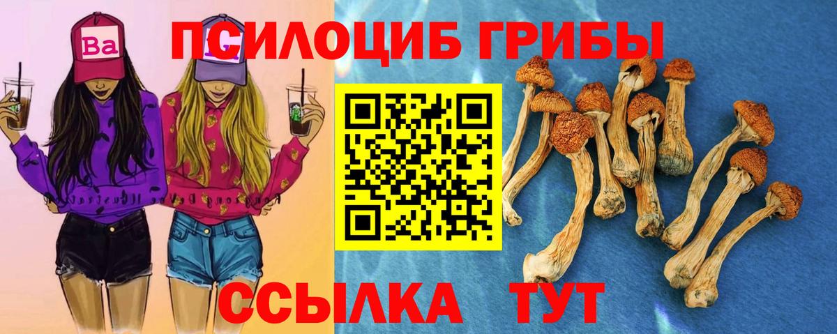Псилоцибиновые грибы мухоморы Сочи