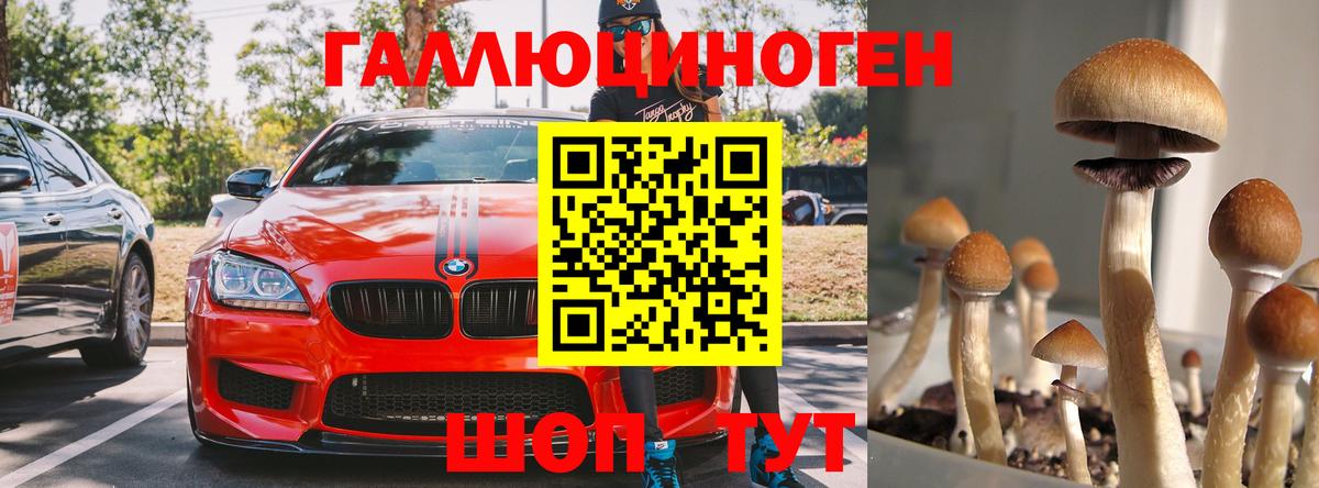 Сочи  Галлюциногенные грибы Psilocybine cubensis  Вход с VPN  Псилоцибиновые грибы мицелий 